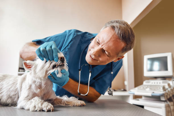 Best Emergency Wisdom Teeth Removal in Hasbrouck Heights, NJ